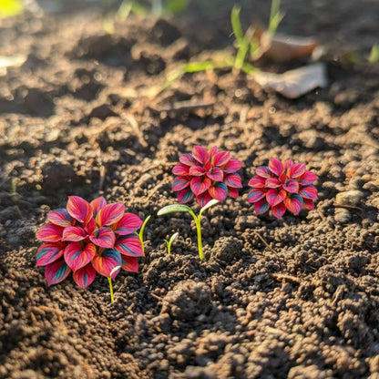Multicolor Hosta Seeds (500+ Seeds) + Plant Growth Serum Free - Ganga Store
