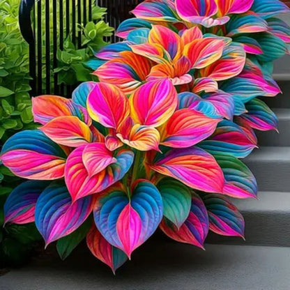 Multicolor Hosta Seeds (500+ Seeds) + Plant Growth Serum Free - Ganga Store